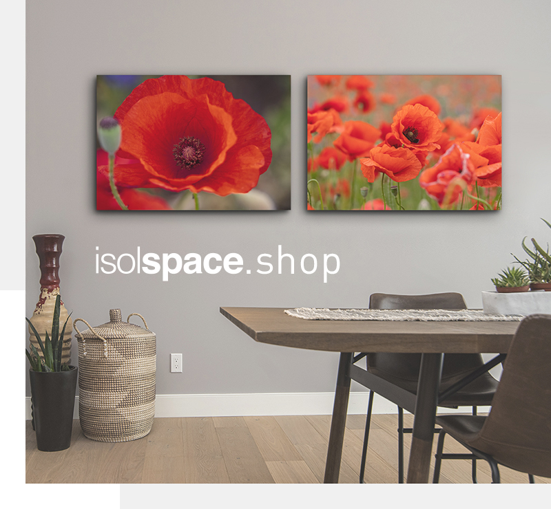 Isolspace Shop Image Up